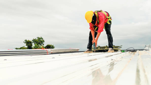 Best Roof Coating and Sealing  in Mford, IL