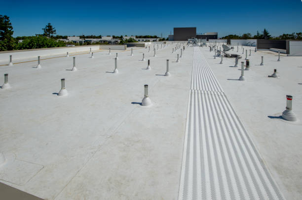 Best Roof Leak Repair  in Mford, IL